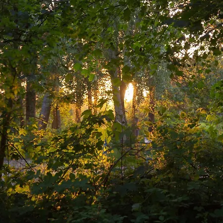 Wohnen Am Suedstrand - 2 2 Wyk auf Föhr