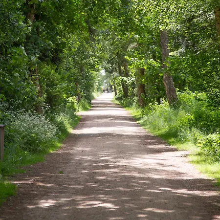 Wohnen Am Südstrand - 2 2