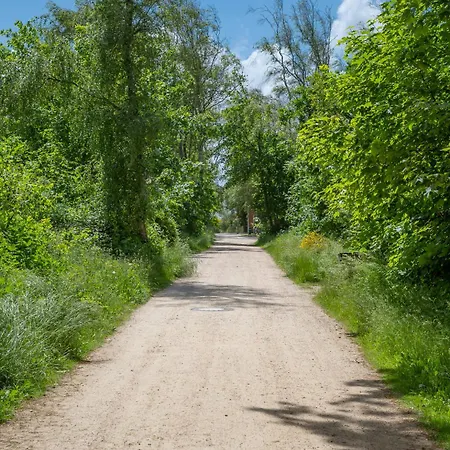 Wohnen Am Südstrand - 2 2 Apartment